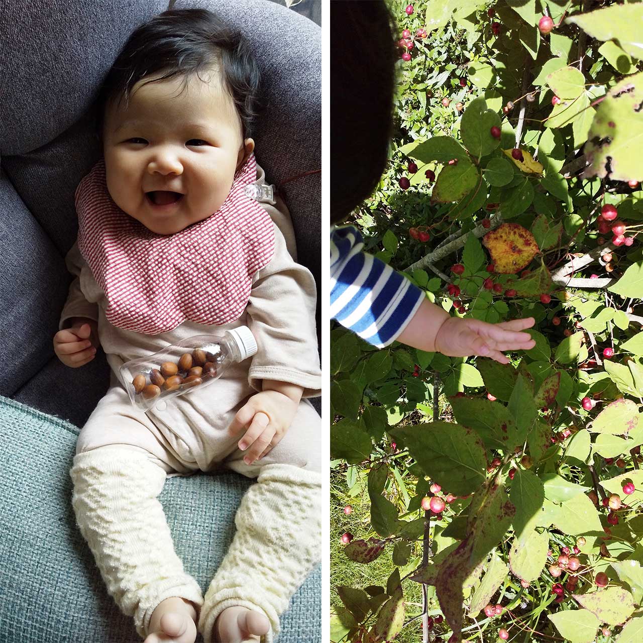 （左）どんぐりガラガラと笑顔の娘。（右）庭を散歩中、ツリガネの花をとろうと手を伸ばす。