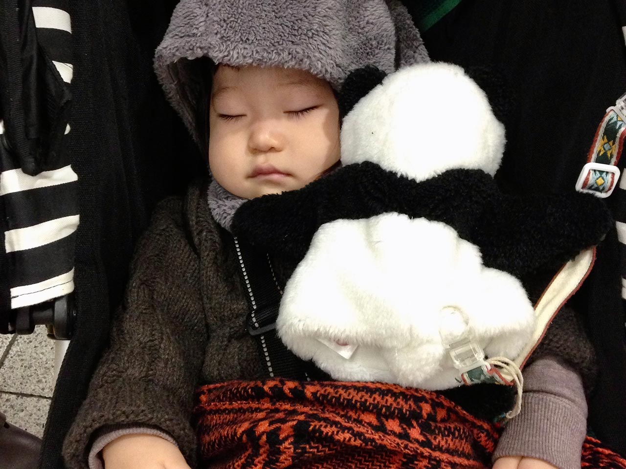 パンダを抱っこしながら寝ている赤ちゃん