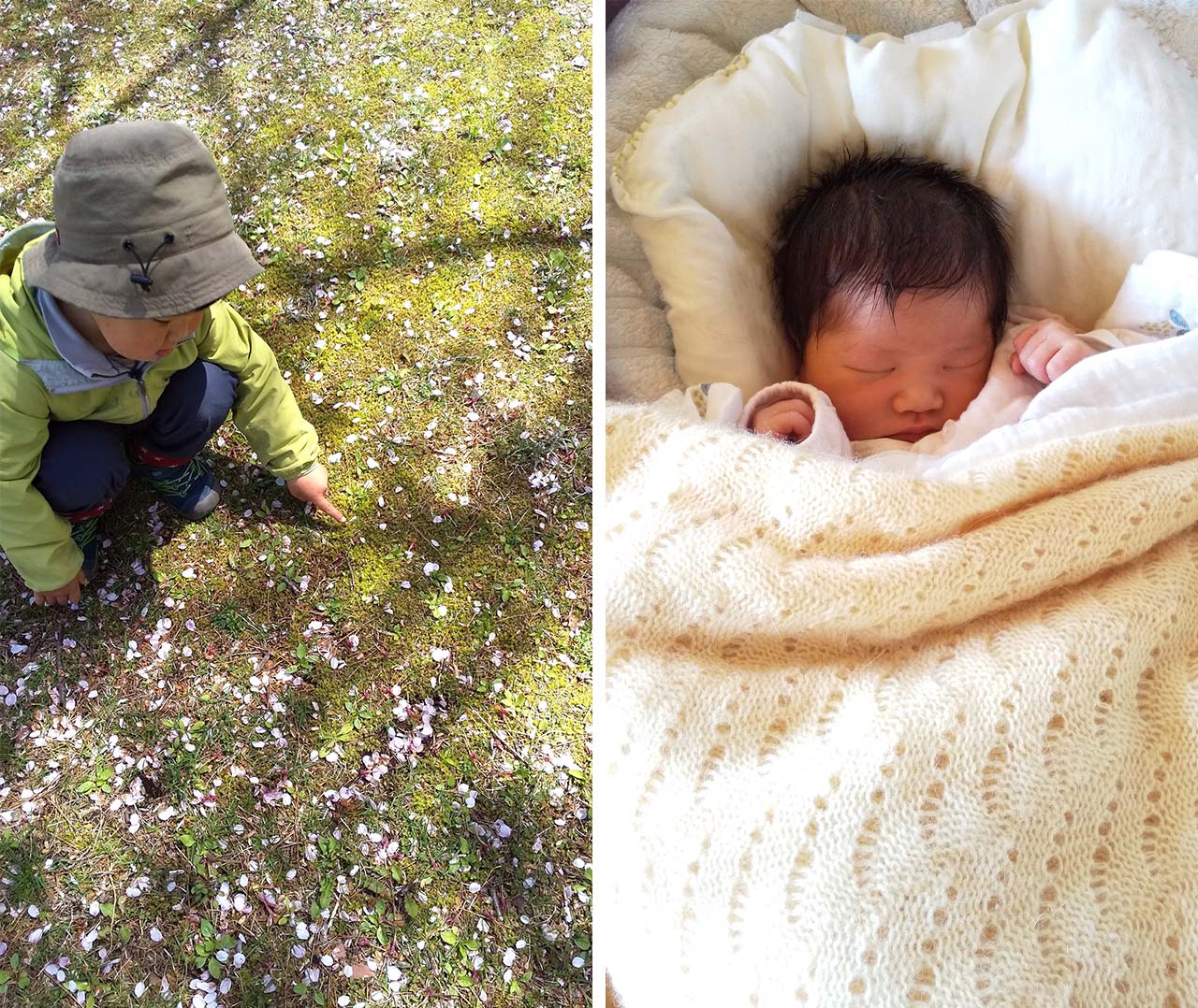 （左）娘を出産後３人で初めてのお散歩。桜の花びらがいっぱいでした。（右）ベビーカーの中で眠る生後１ヵ月の娘。