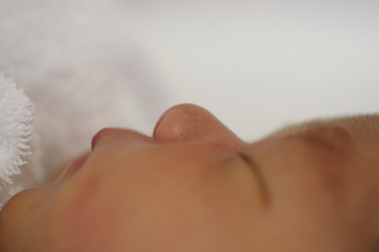 生まれたての小さな鼻。産毛がふさふさ。