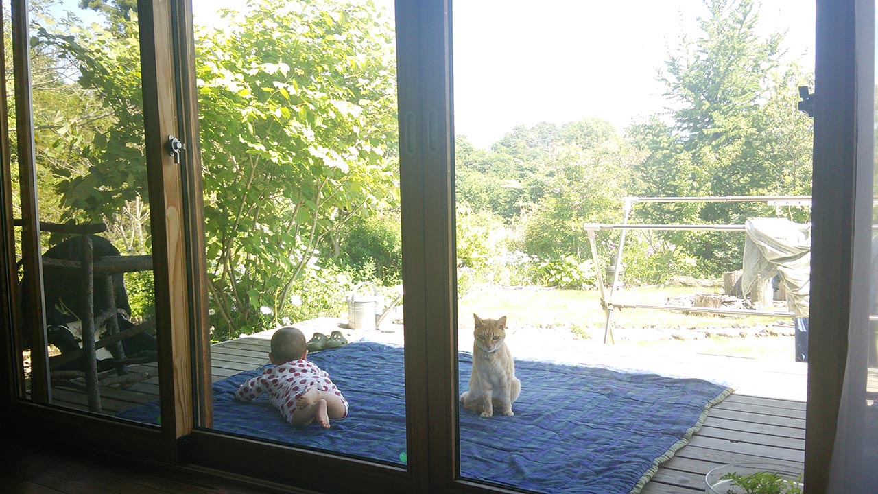 天気のよい日はテラスで猫とひなたぼっこ（うつ伏せができるようになったころです）。