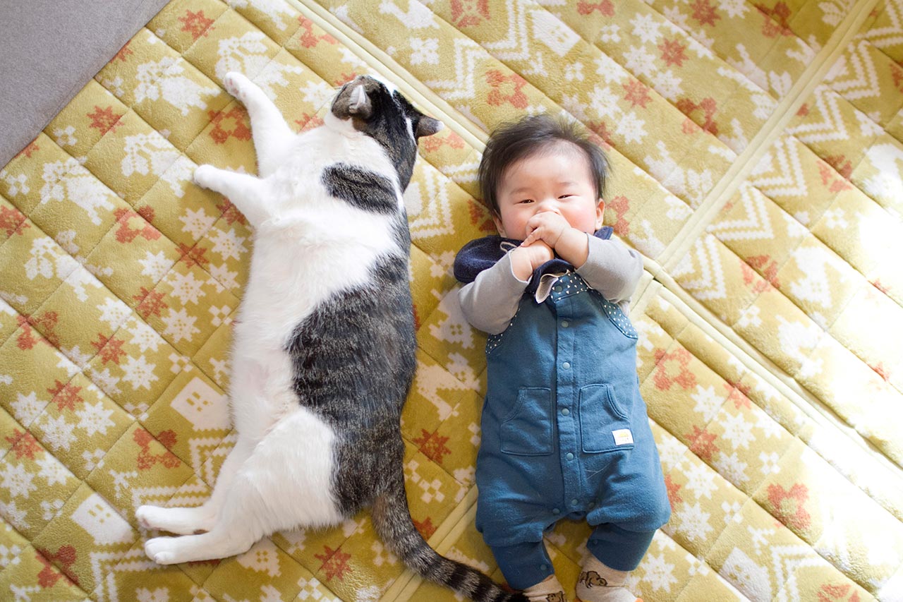 鈴木さんは、晴太くんと猫のマイロくんを撮り続けている