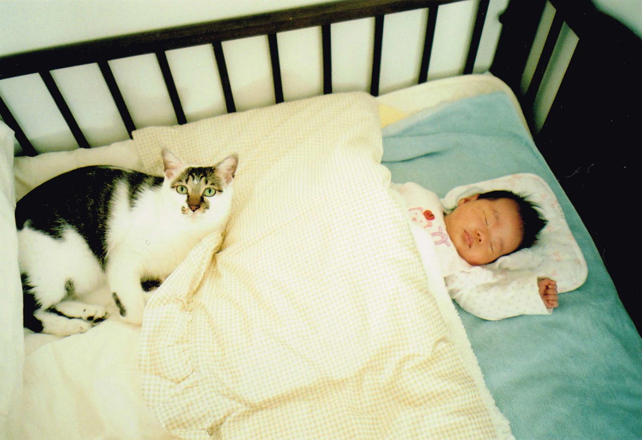 眠る赤ちゃんに寄り添う猫