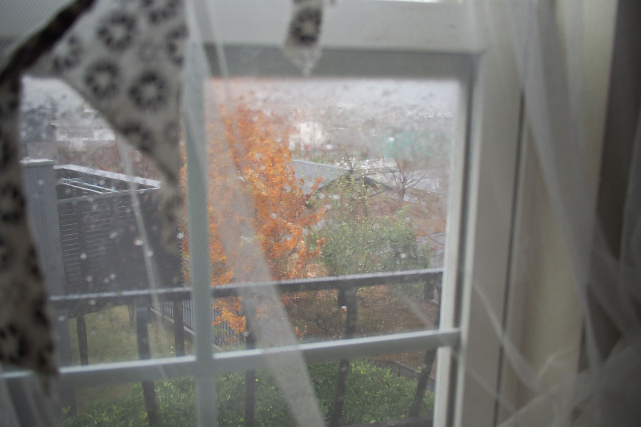 雨天の窓辺