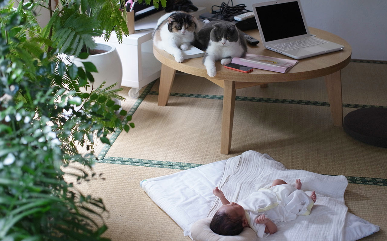 猫と赤ちゃんとのハッピーライフ
